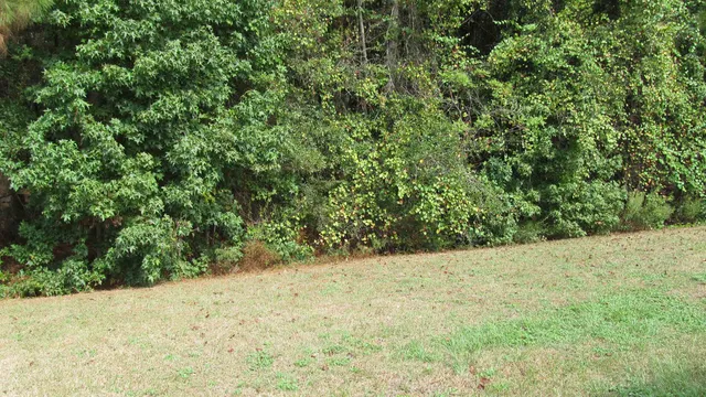 $237,900 | 137 Monroe Creek Drive, Midway, FL 32343