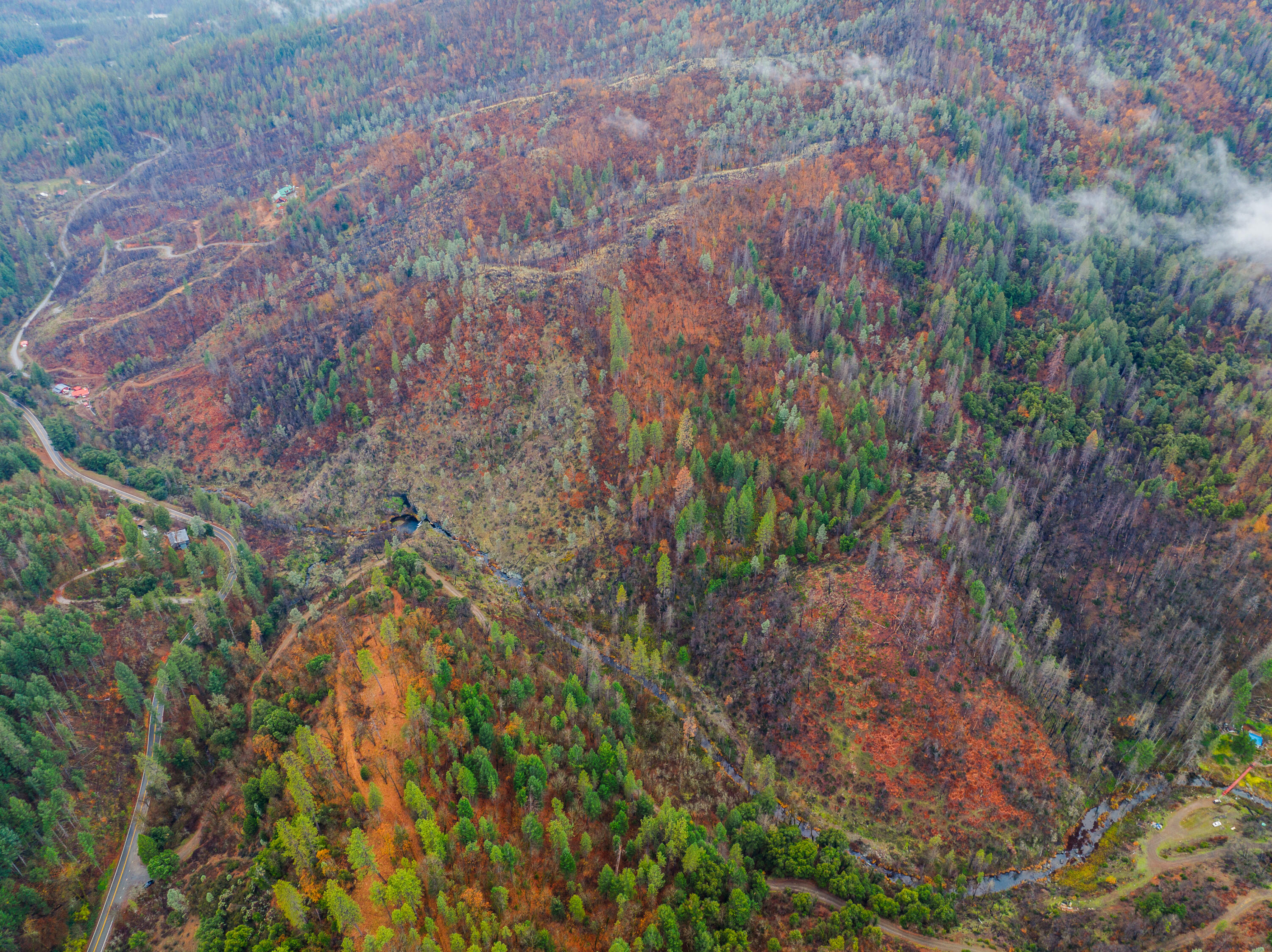 0 Old Mill Road Lakehead, CA 96051 - Photo 11 of 15 a backyard of a house