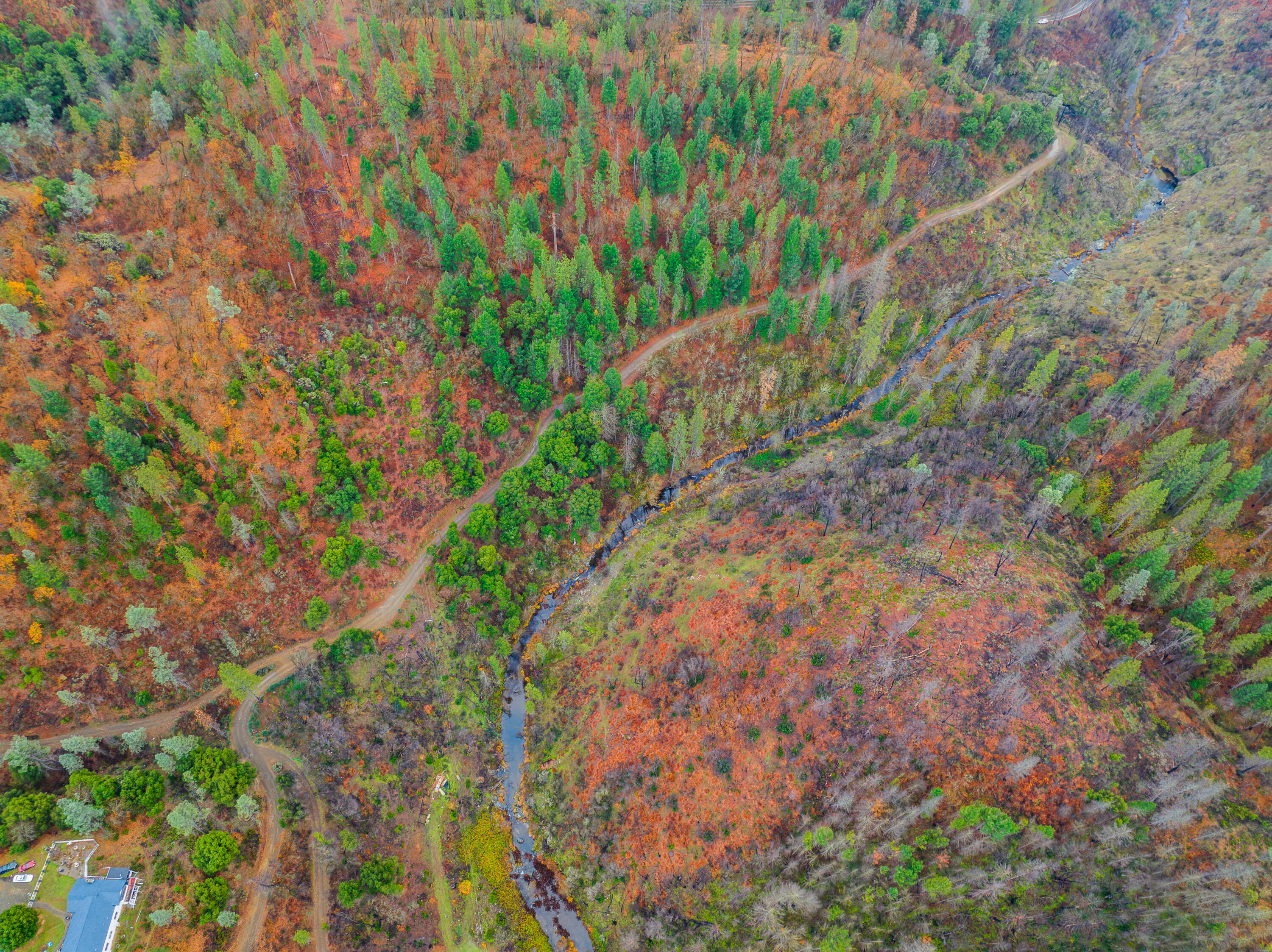 0 Old Mill Road Lakehead, CA 96051 - Photo 12 of 15 a backyard of a house with lots of green space