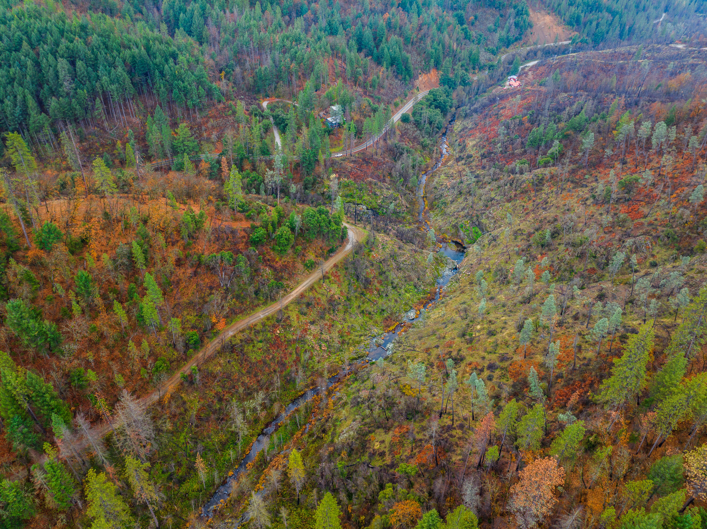0 Old Mill Road Lakehead, CA 96051 - Photo 13 of 15 a view of a yard