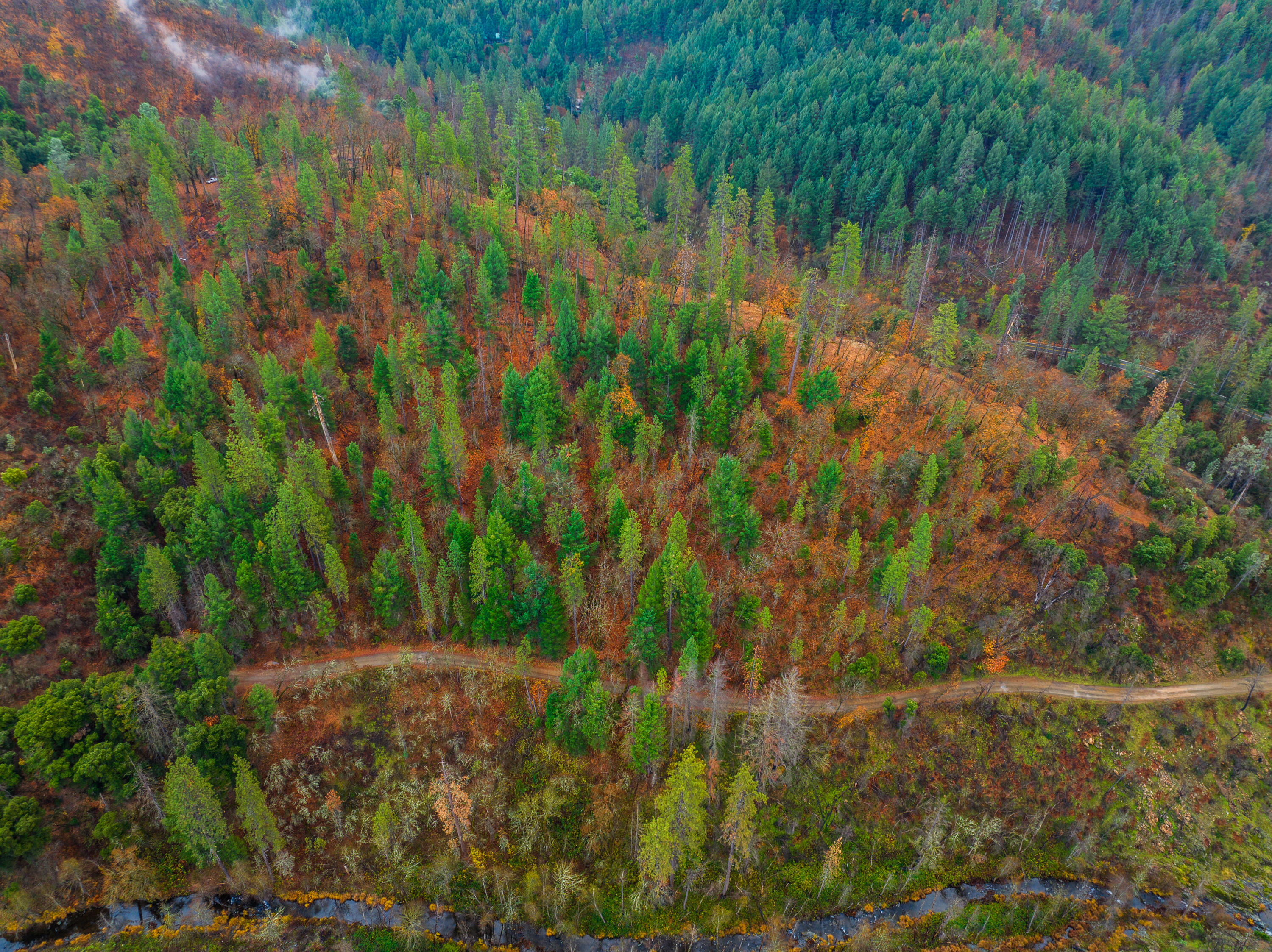 0 Old Mill Road Lakehead, CA 96051 - Photo 14 of 15 a view of a lake with a yard