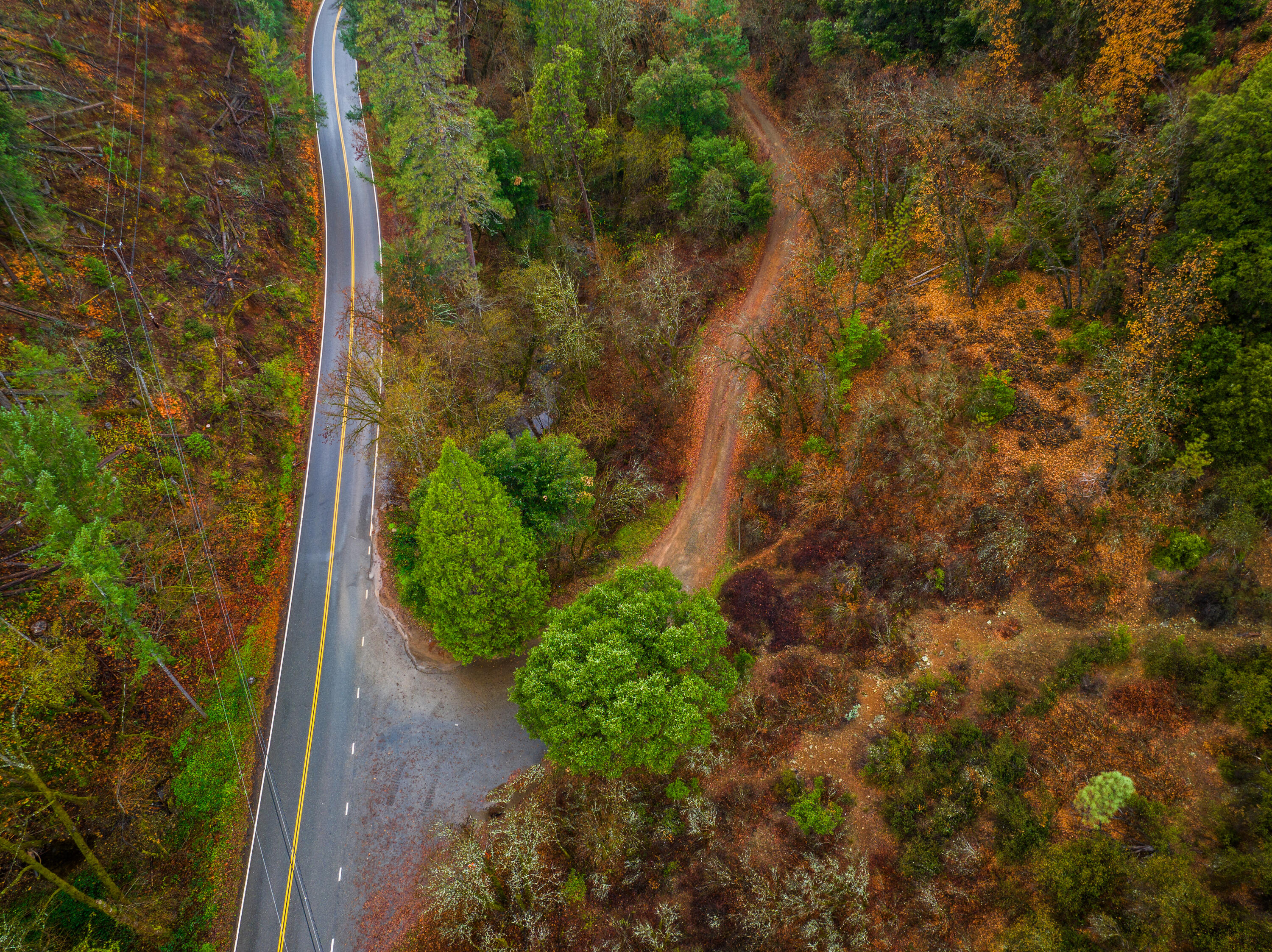 0 Old Mill Road Lakehead, CA 96051 - Photo 4 of 15 a view of a yard with plants and tree
