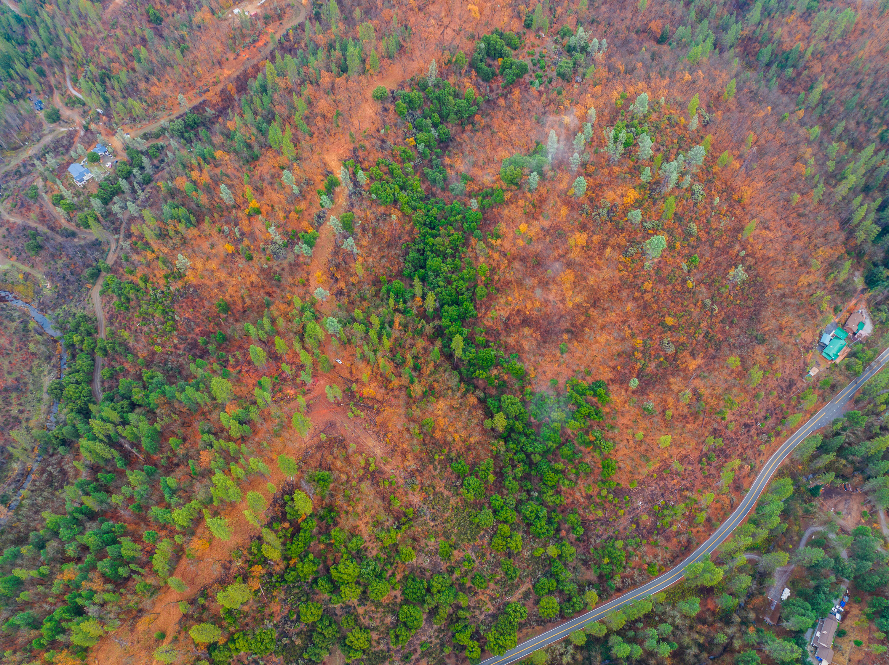 0 Old Mill Road Lakehead, CA 96051 - Photo 8 of 15 a backyard with plants