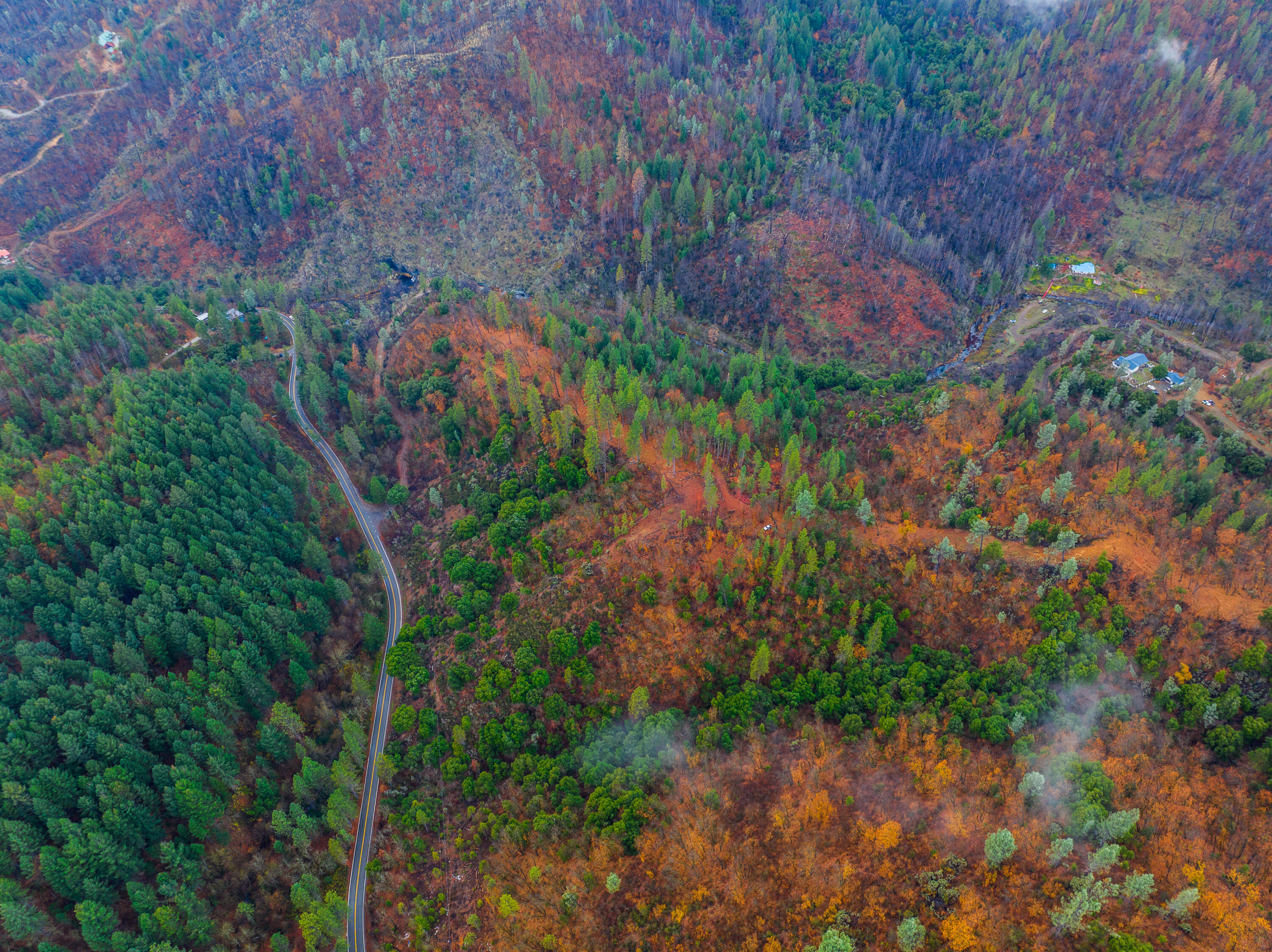 0 Old Mill Road Lakehead, CA 96051 - Photo 9 of 15 a backyard of a house with lots of green space