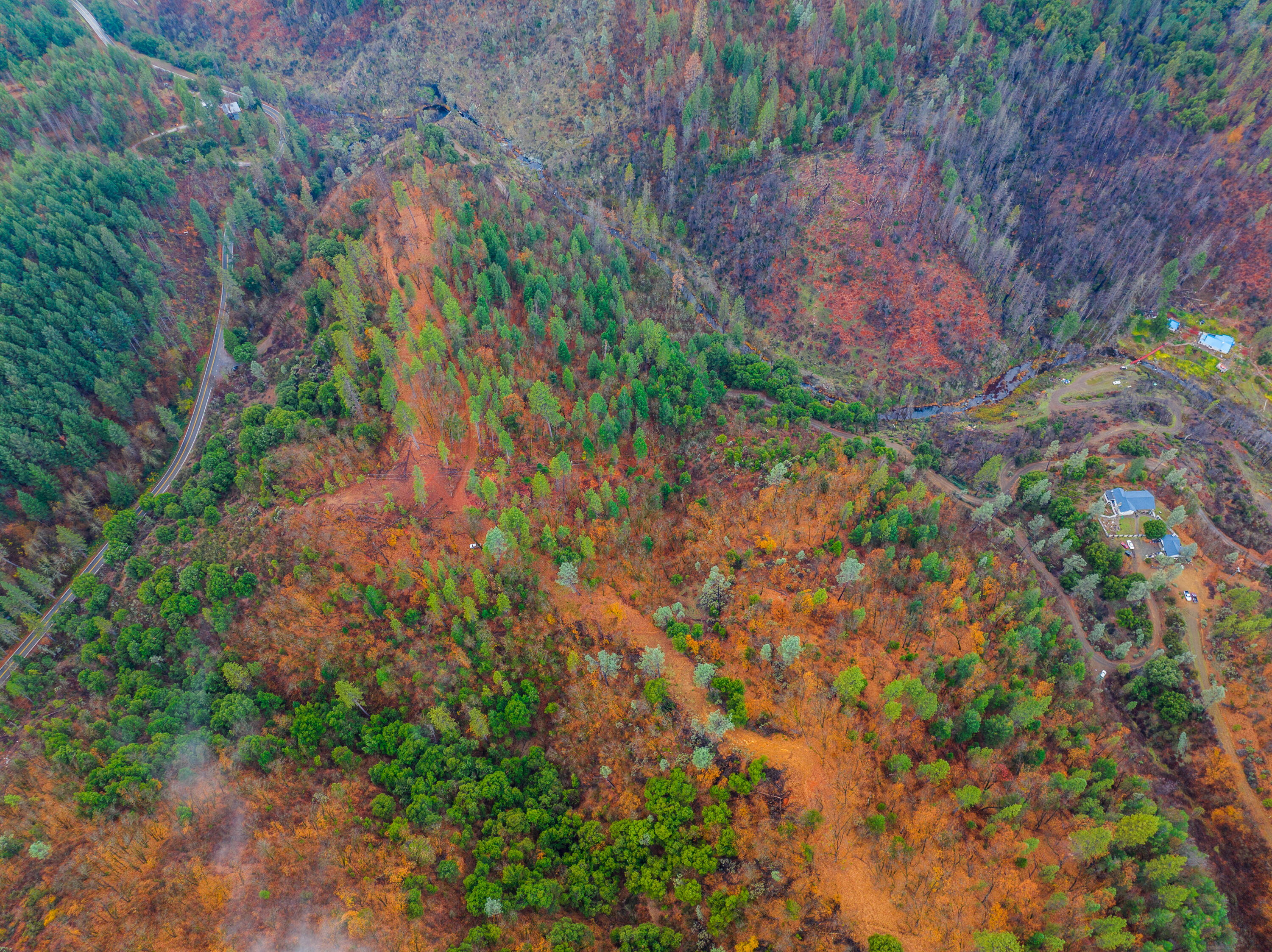 0 Old Mill Road Lakehead, CA 96051 - Photo 10 of 15 a backyard of a house
