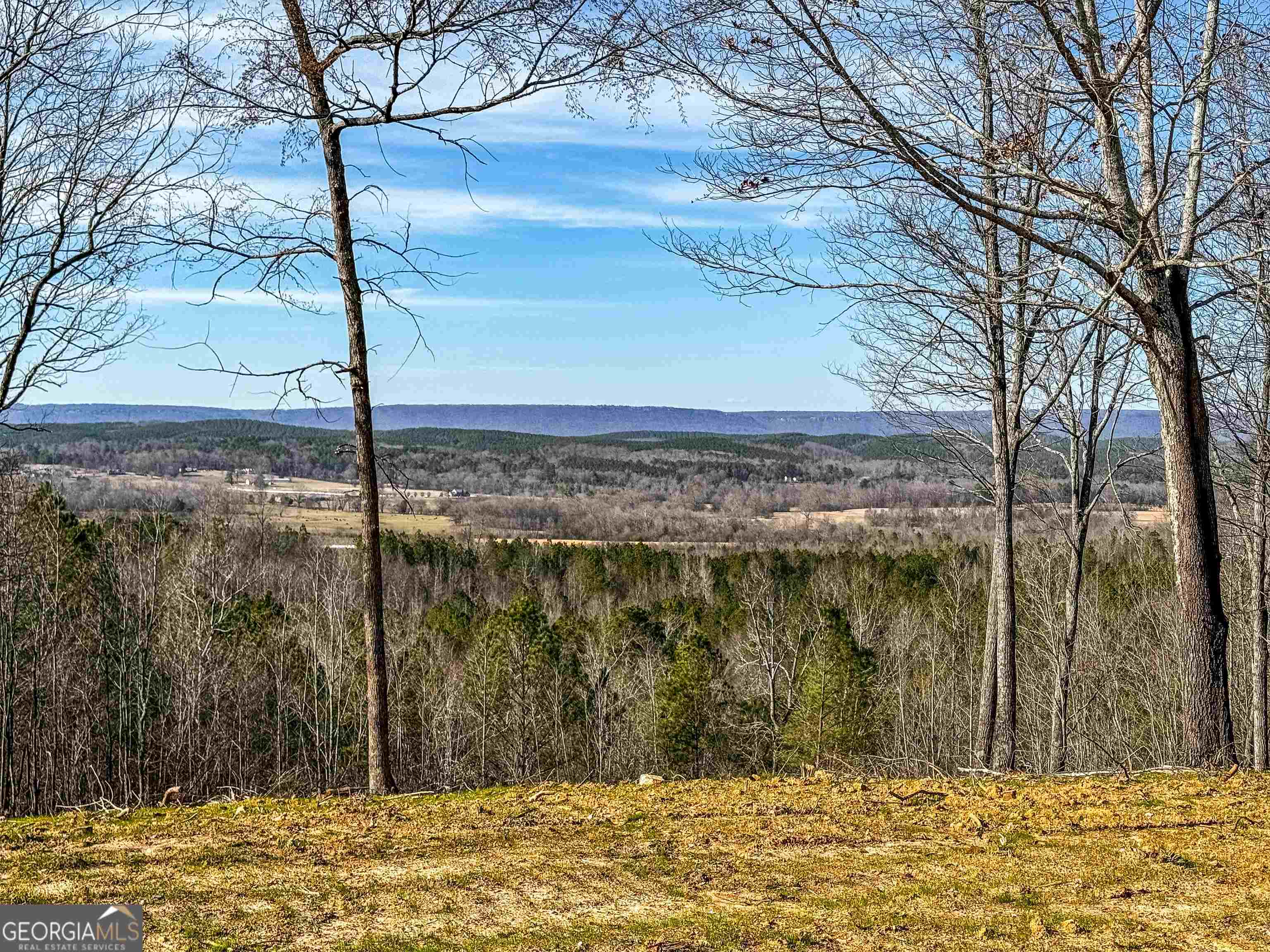 0 Back Berryton Road Summerville, GA 30747 - Photo 1 of 1 Gallery Image 1