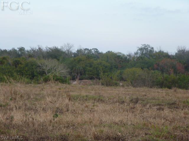999999 Sears Road LaBelle, FL 33935 - Photo 1 of 1 Gallery Image 1