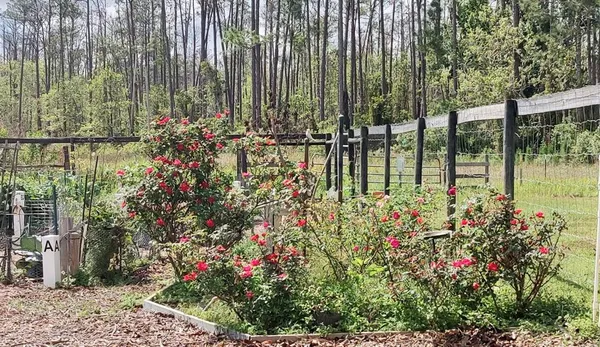 $469,800 | 3184 Songbird Circle, Harmony, FL 34773