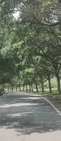 $469,800 | 3184 Songbird Circle, Harmony, FL 34773