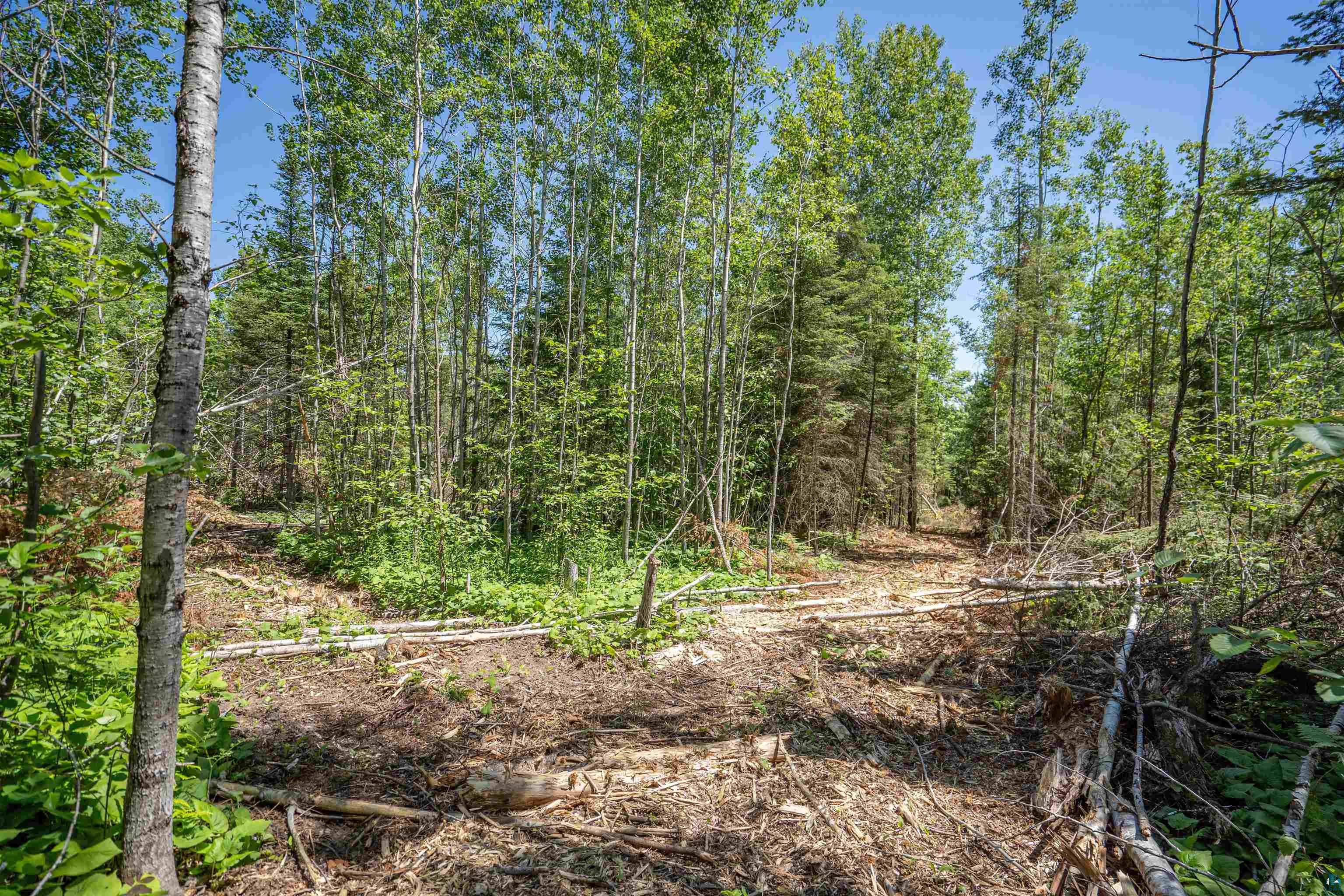 Xxx1 Wildwood Road Duluth, MN 55804 - Photo 19 of 25