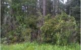 85639 Claxton Road Yulee, FL 32097 - Photo 6 of 8 Gallery Image 6