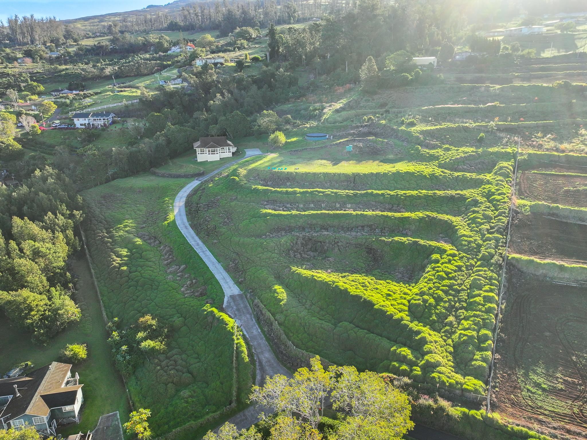 Aerial view of the existing house and the lot