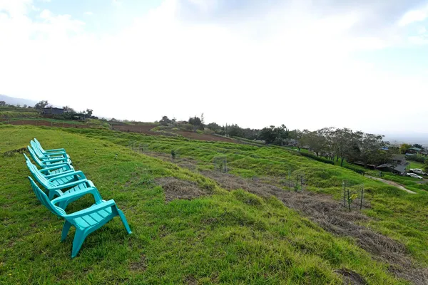 $4,000,000 | 210 Napoko Place, Kula, HI 96790