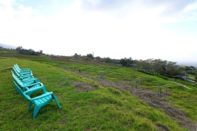 $4,000,000 | 210 Napoko Place, Kula, HI 96790