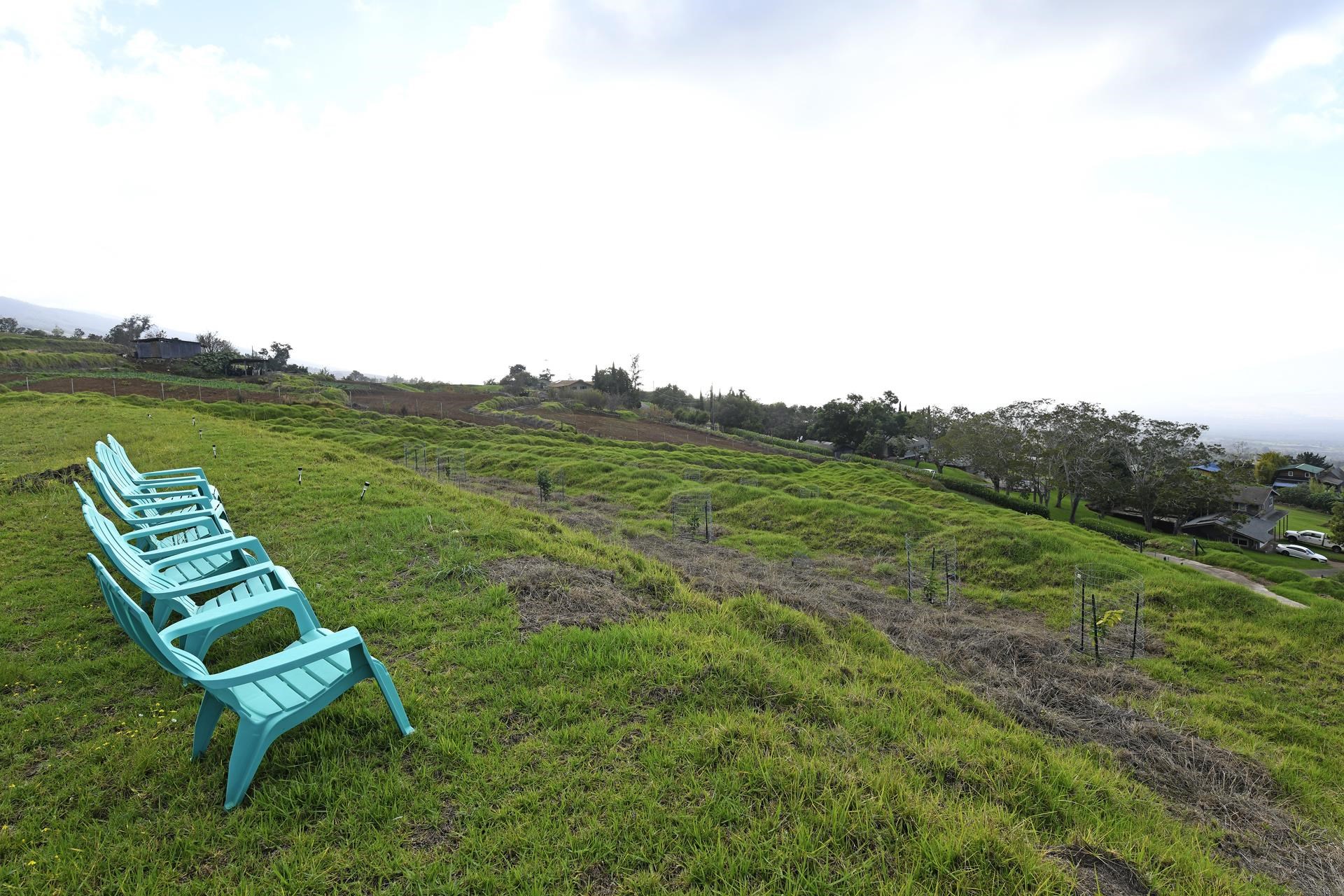 210 Napoko Place Kula, HI 96790 - Photo 34 of 37