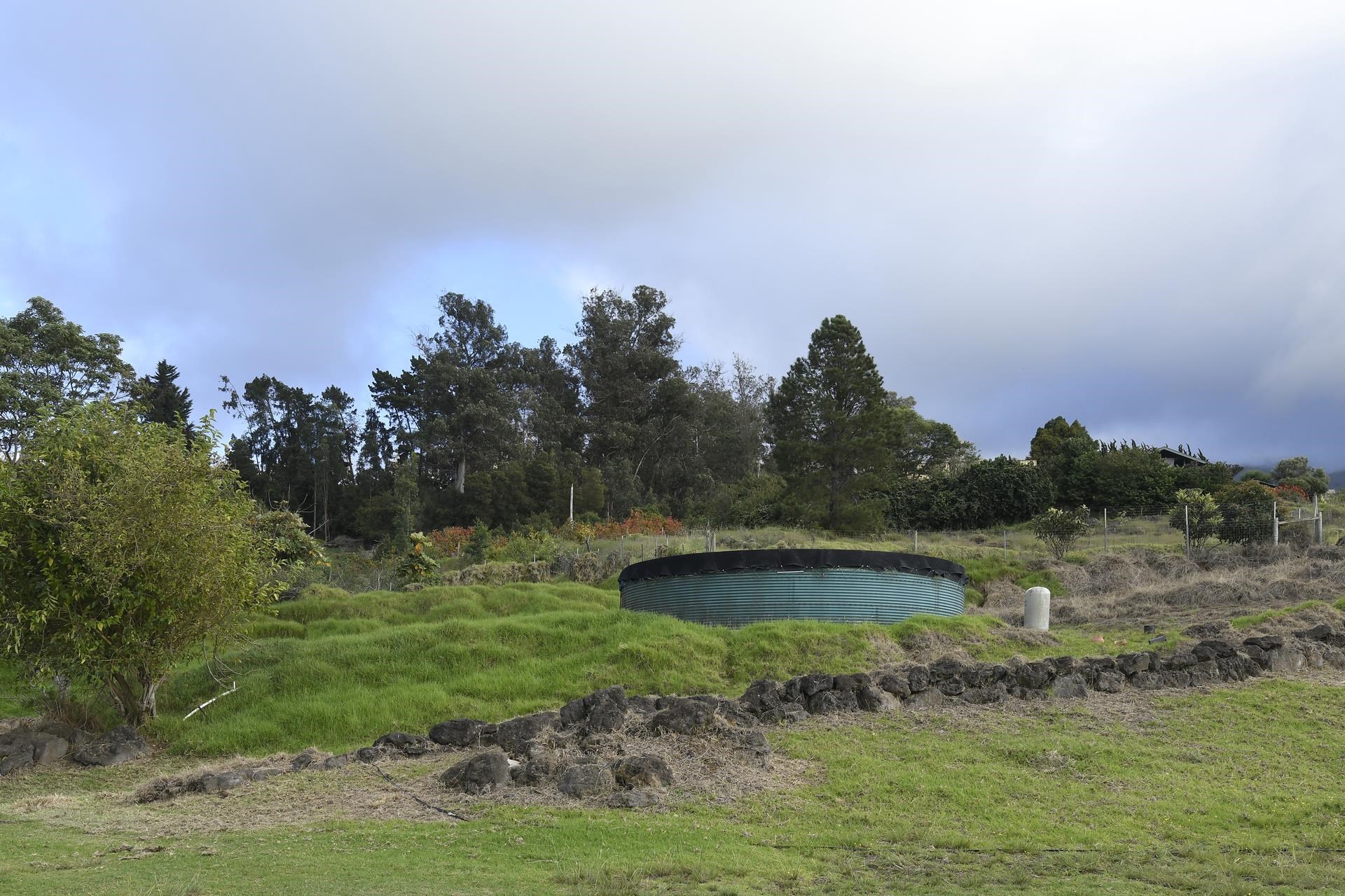 210 Napoko Place Kula, HI 96790 - Photo 36 of 37 Back of property is boarder by trees Hashimoto Farm views of the top of Haleakala.