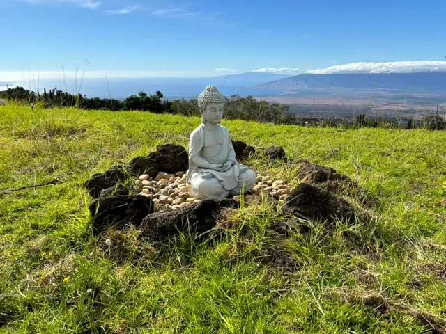 $4,000,000 | 210 Napoko Place, Kula, HI 96790