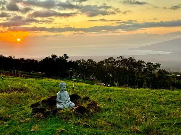 $4,000,000 | 210 Napoko Place, Kula, HI 96790