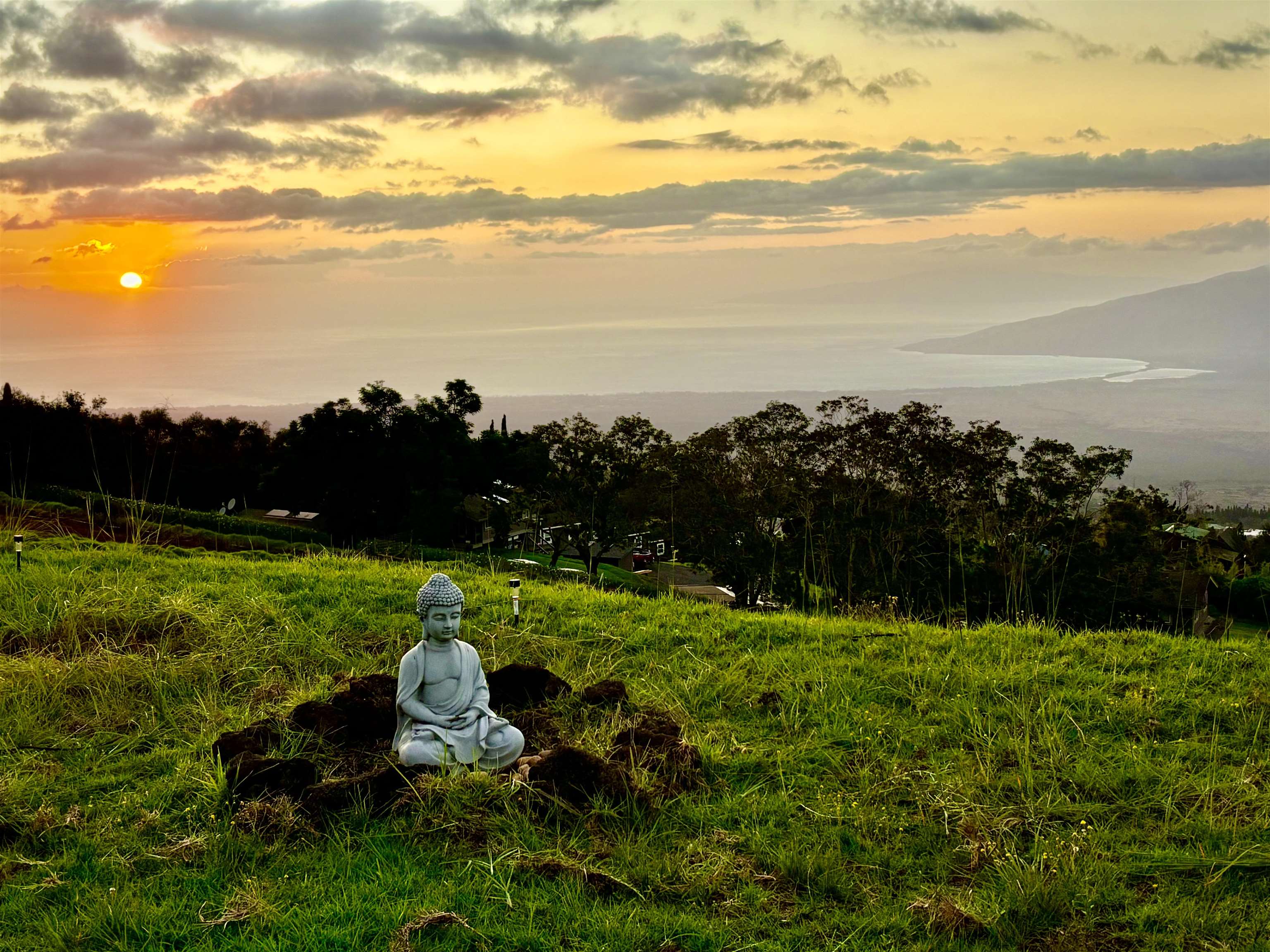 210 Napoko Place Kula, HI 96790 - Photo 4 of 37 Future building site main house