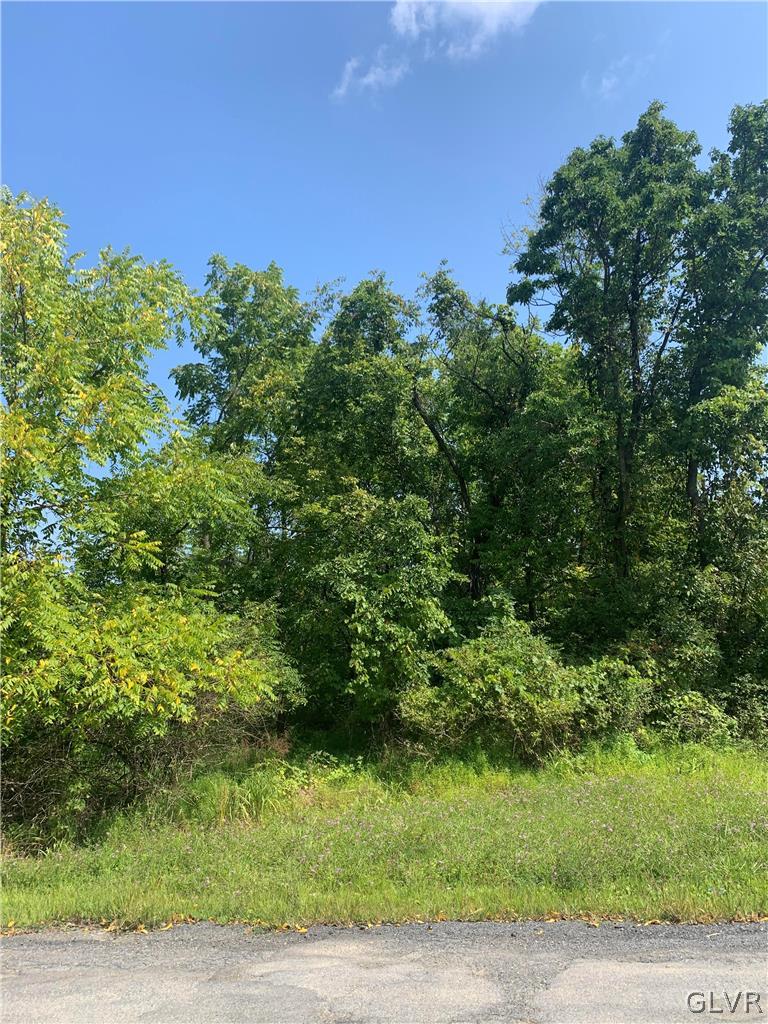 Bangor Road Bangor, PA 18013 - Photo 5 of 6