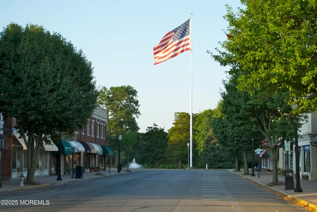 a view of a park with plants and trees