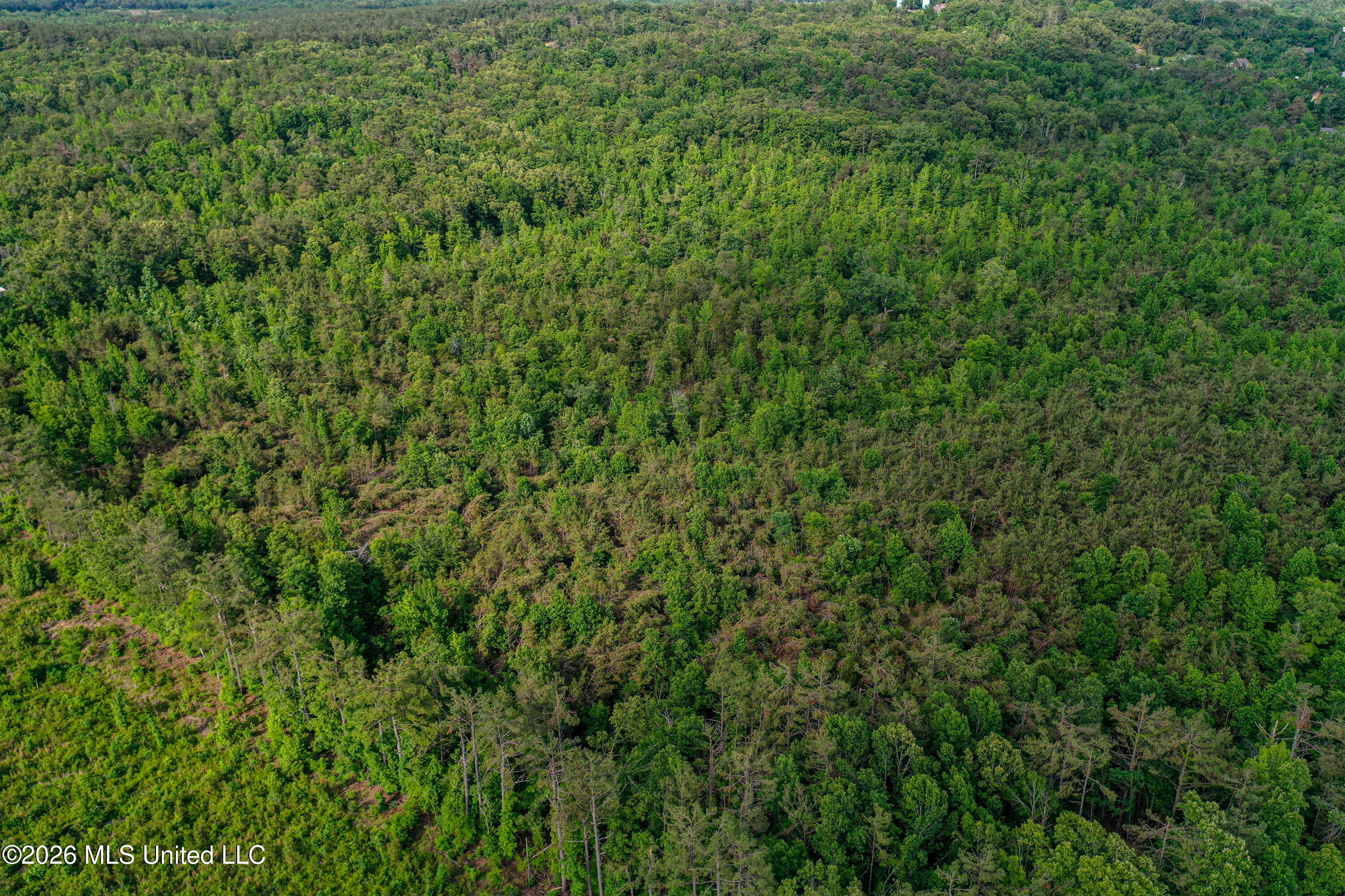 816 County Road Blue Mountain, MS 38610 - Photo 17 of 21 DJI_0750