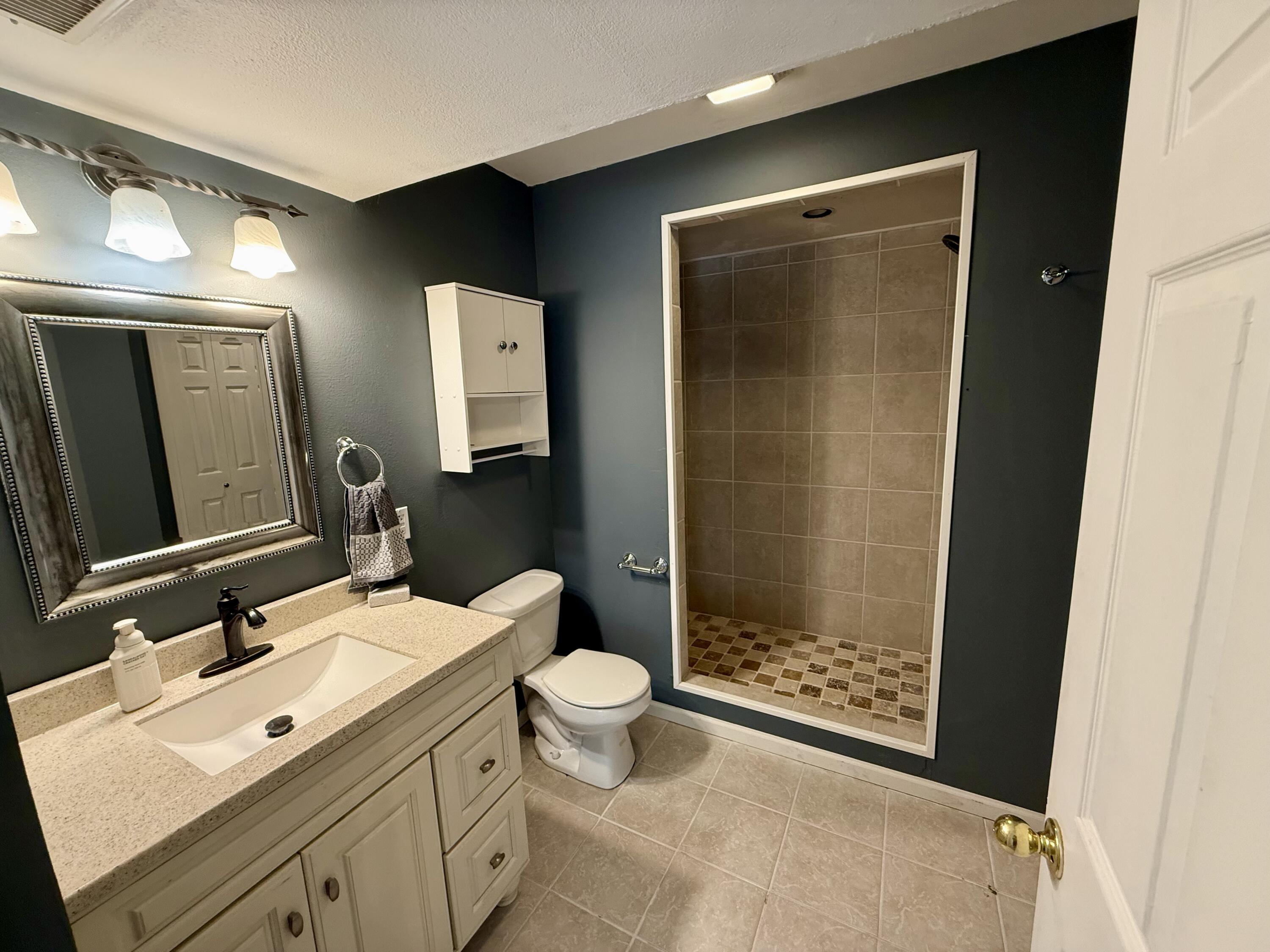 187 Jessi Road Forsyth, MO 65653 - Photo 21 of 27 Downstairs Bathroom