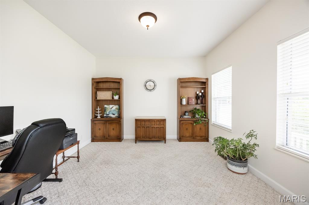 1120 Red Hawk Ridge Lane O'Fallon, IL 62269 - Photo 5 of 41