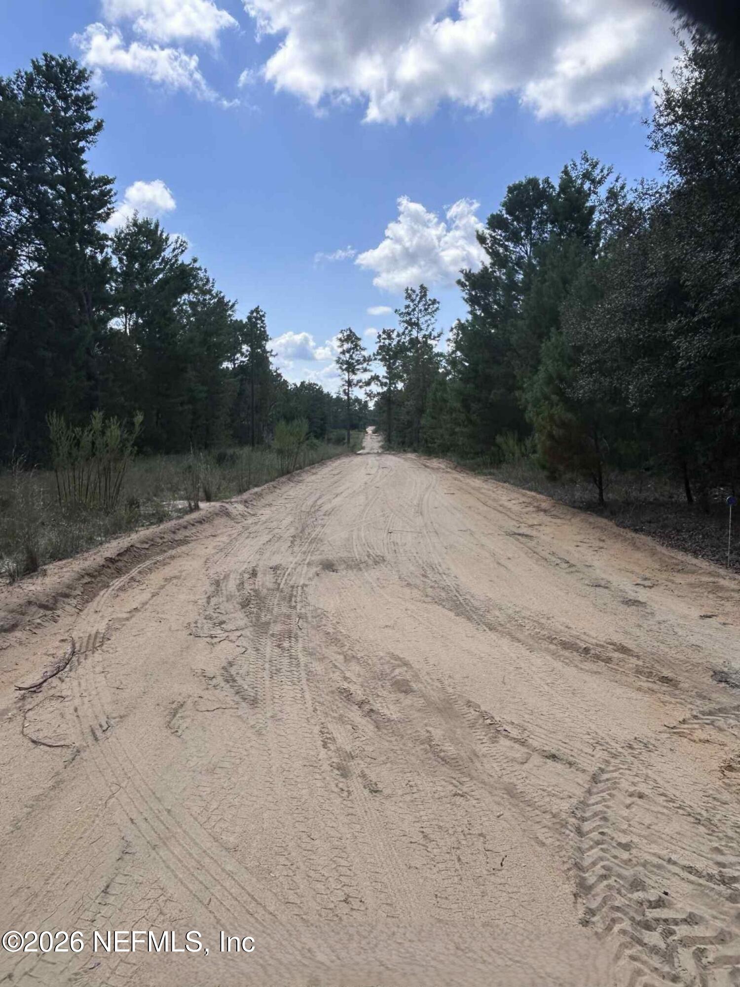 136 Martin Street Interlachen, FL 32148 - Photo 3 of 6 a view of dirt field with trees in the background
