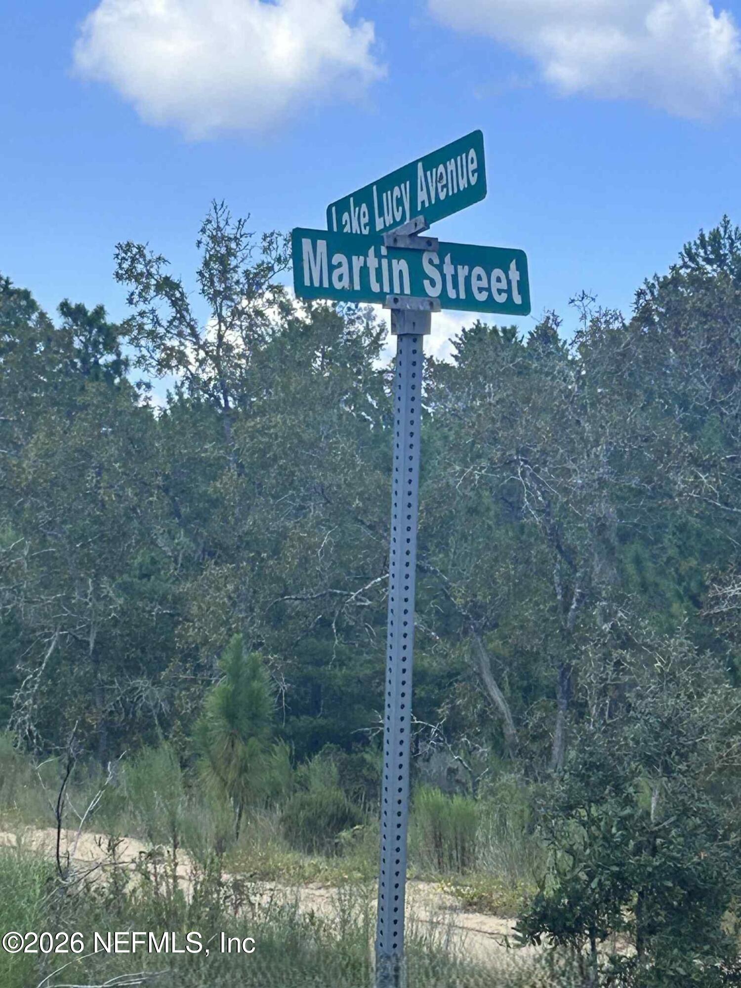 136 Martin Street Interlachen, FL 32148 - Photo 5 of 6 a view of a forest