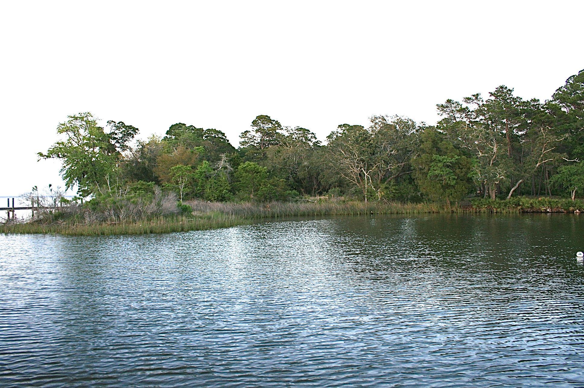 95 Hewett Point Road Santa Rosa Beach, FL 32459 - Photo 14 of 20 Gallery Image 14