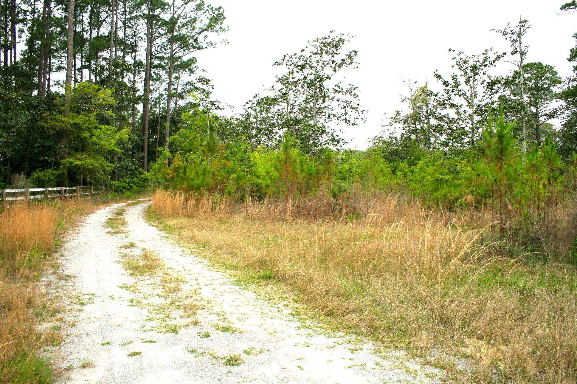 95 Hewett Point Road Santa Rosa Beach, FL 32459 - Photo 16 of 20 Gallery Image 16