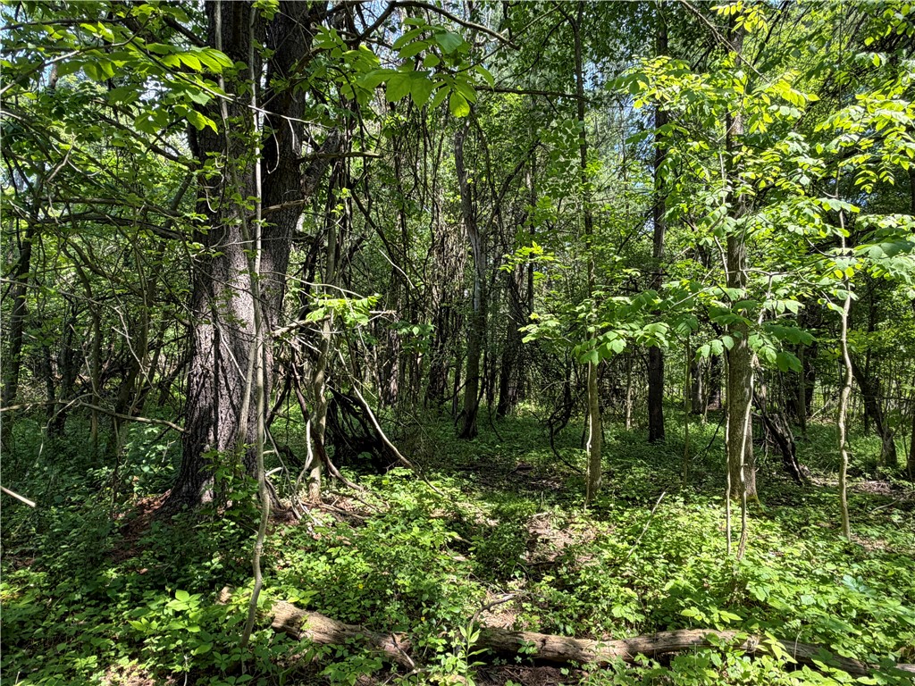 Vl Reed Road Dansville, NY 14437 - Photo 13 of 29