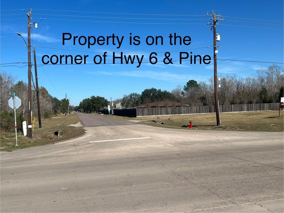 7315 Pine Street Manvel, TX 77578 - Photo 50 of 50 a view of a park