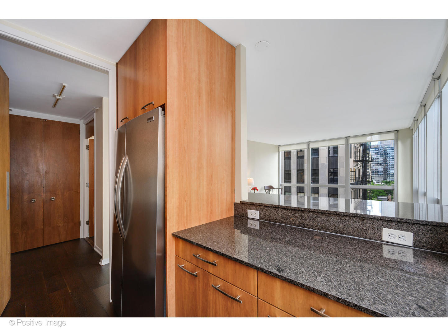 1300 North Astor Street, Unit 10D Chicago, IL 60610 - Photo 12 of 25 a kitchen with stainless steel appliances granite countertop a refrigerator and a sink