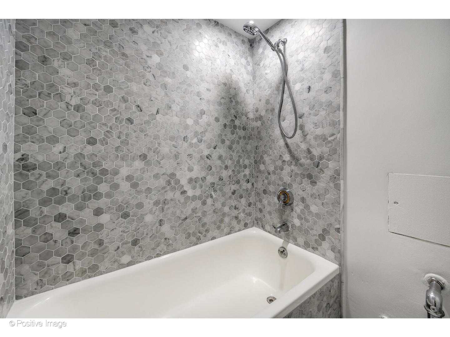 1300 North Astor Street, Unit 10D Chicago, IL 60610 - Photo 17 of 25 a bathroom with a shower