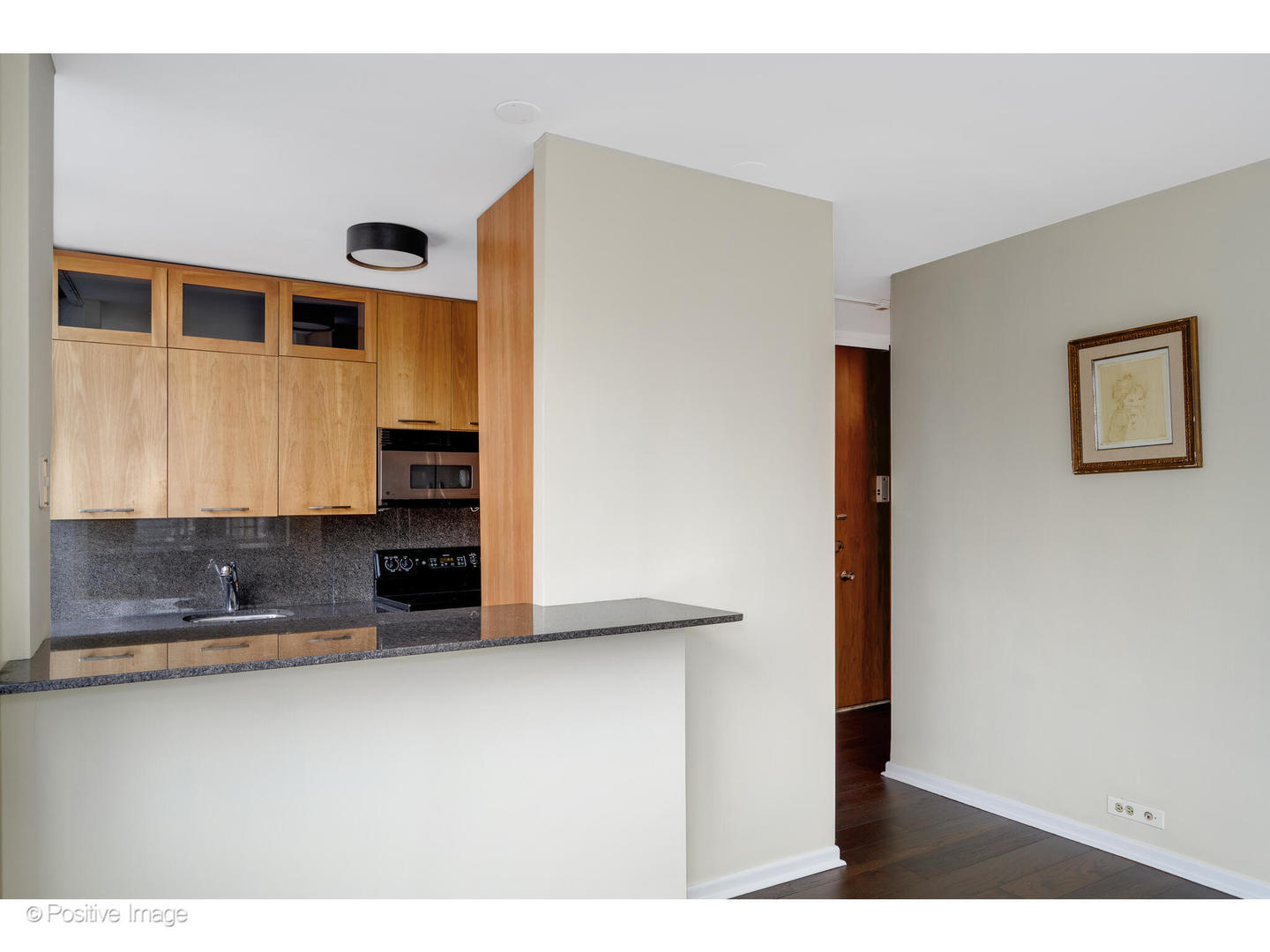 1300 North Astor Street, Unit 10D Chicago, IL 60610 - Photo 9 of 25 a kitchen with stainless steel appliances granite countertop a refrigerator and a sink