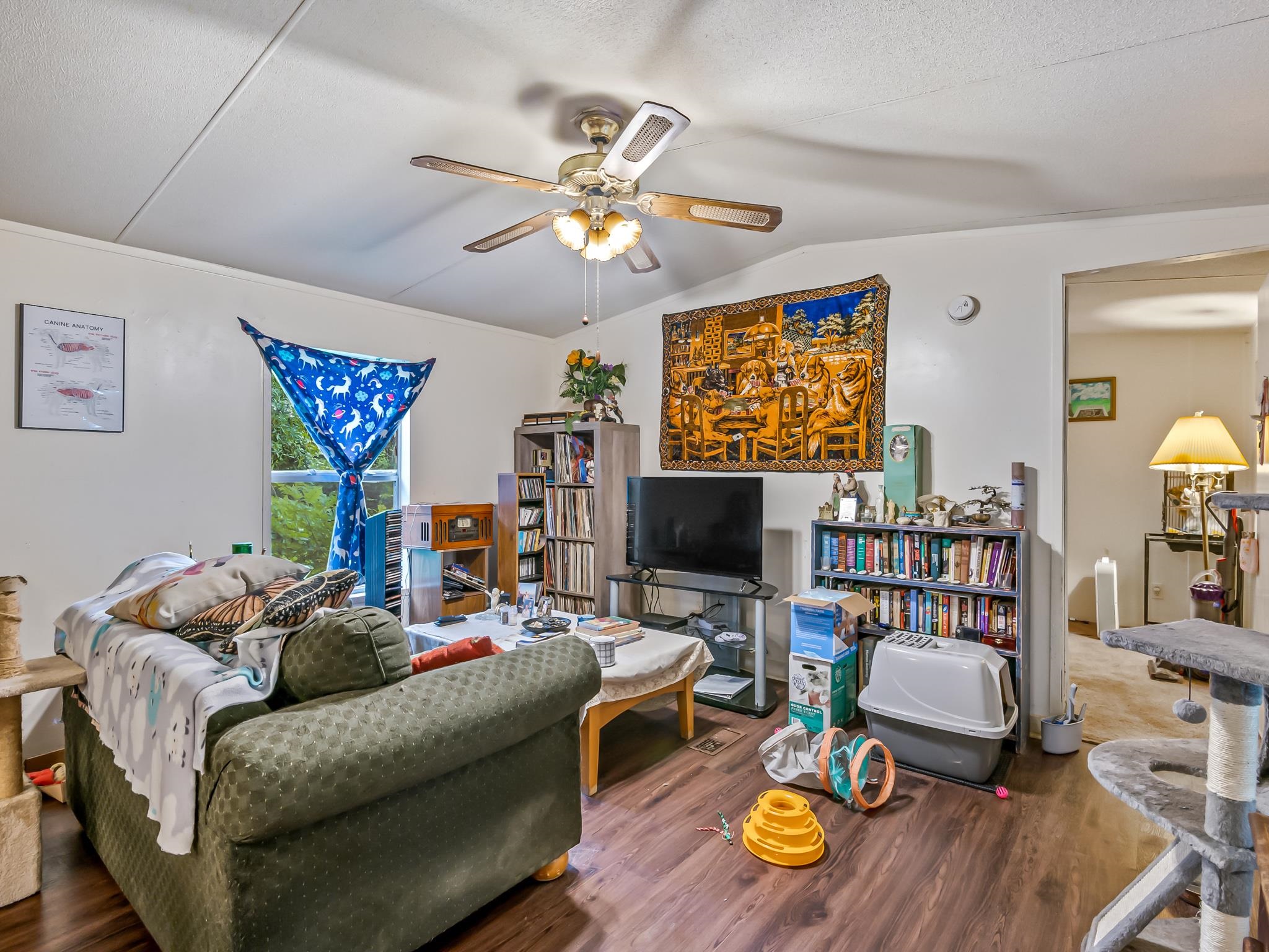 44 Maxson Road Crawfordville, FL 32327 - Photo 6 of 41 Gallery Image 6