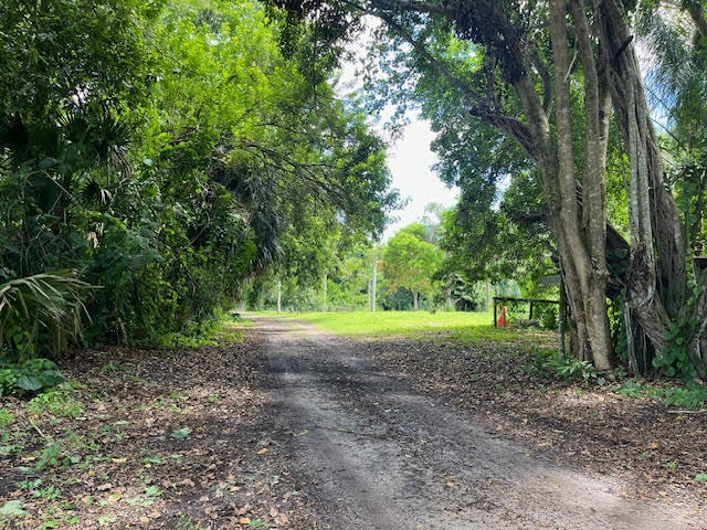 9538 171st Street North Jupiter, FL 33478 - Photo 14 of 16 a view of a forest with trees