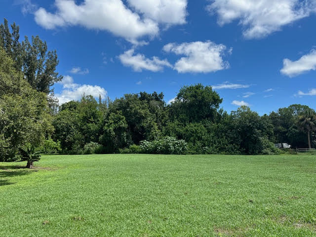 9538 171st Street North Jupiter, FL 33478 - Photo 2 of 16 a view of a grassy field with trees in the background