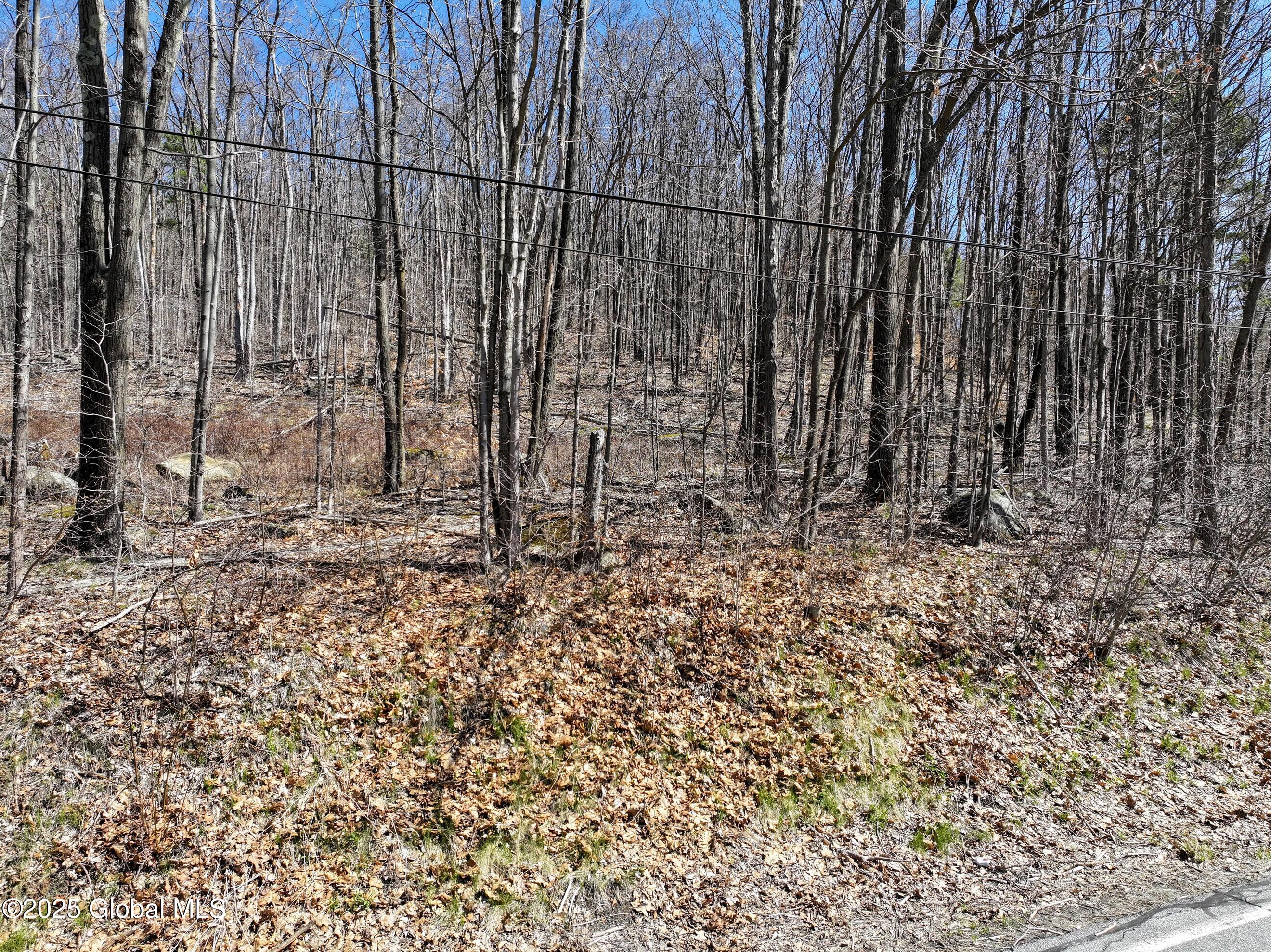 392 West Hague Road Hague, NY 12836 - Photo 13 of 16 DJI_20250428105504_0058_D-2 (Copy)