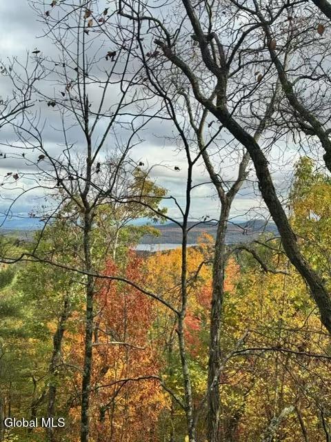 392 West Hague Road Hague, NY 12836 - Photo 16 of 16 IMG_5278