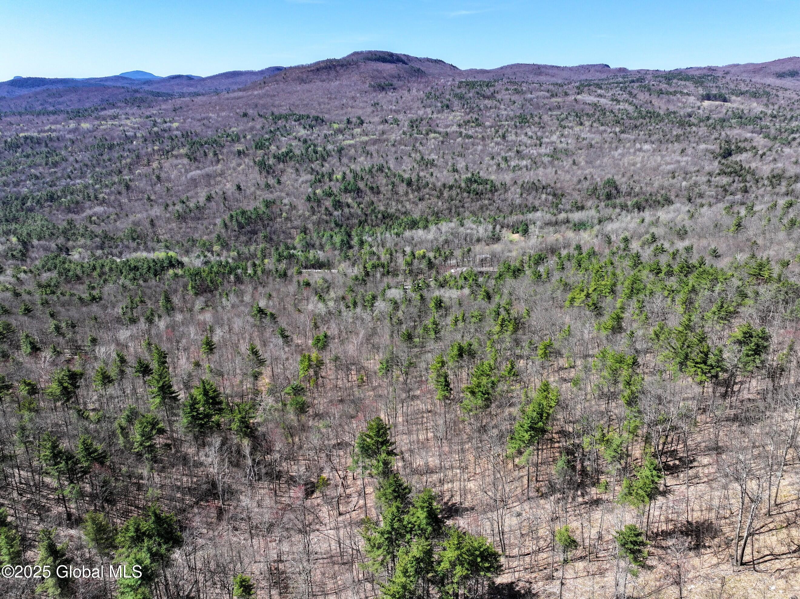 392 West Hague Road Hague, NY 12836 - Photo 4 of 16 DJI_20250428102042_0028_D-2 (Copy)