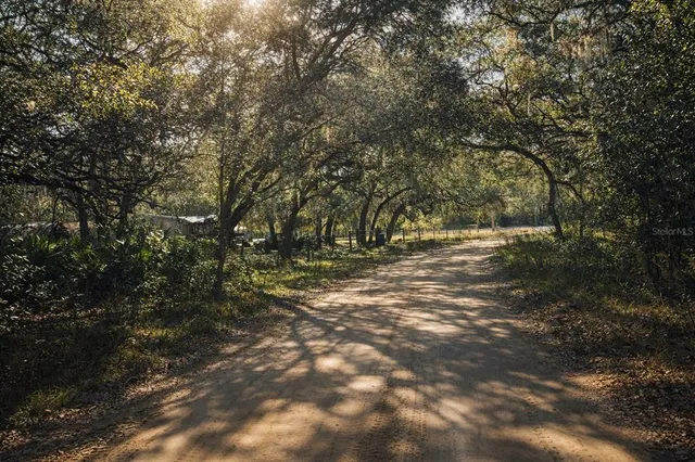 a view of outdoor space and yard