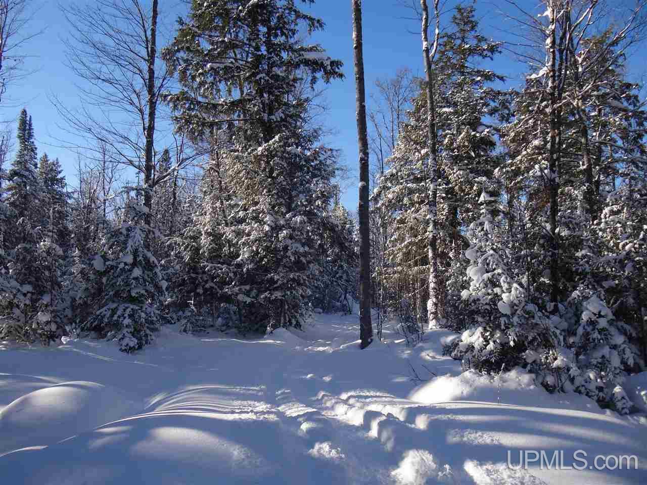 Tbd Irwin Road Baraga, MI 49908 - Photo 20 of 27