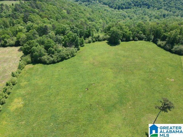0 Pea Ridge Circle, Unit 424 Union Grove, AL 35175 - Photo 4 of 49