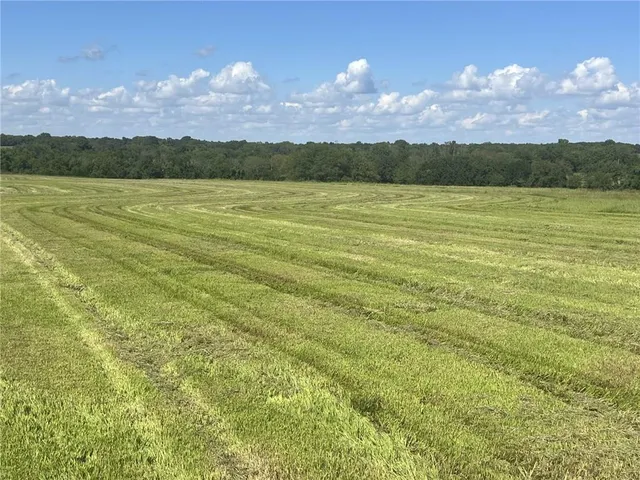 $290,000 | 31201 Nelson Road, Drexel, MO 64742