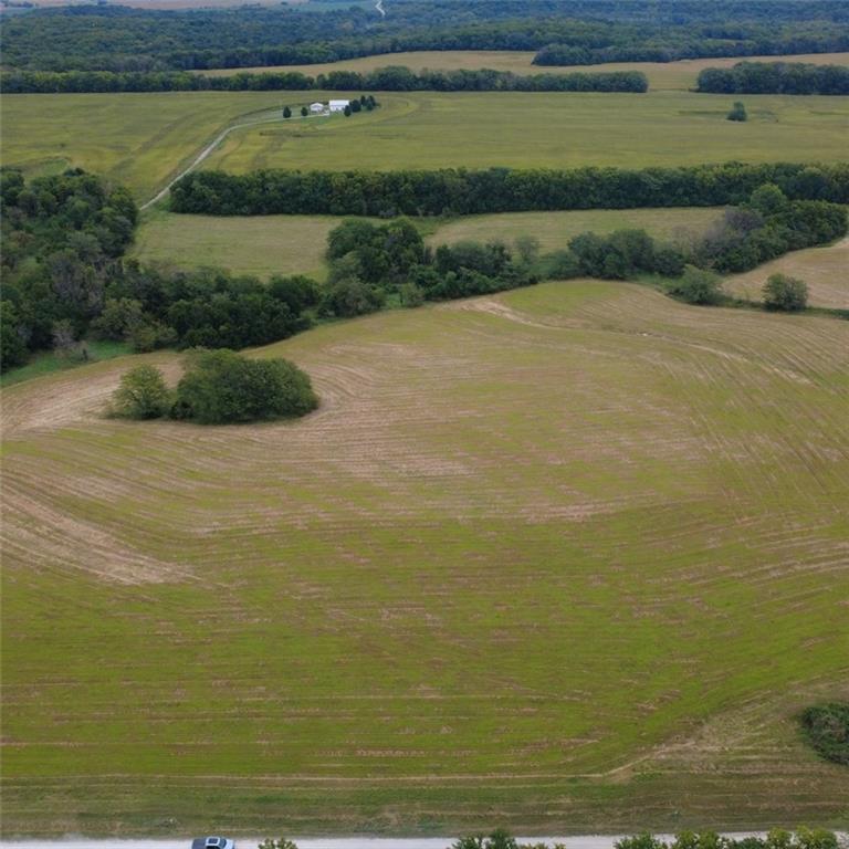 31201 Nelson Road Drexel, MO 64742 - Photo 6 of 7