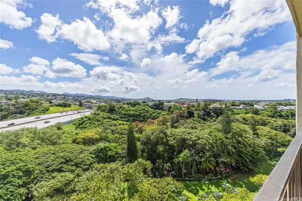 a view of a bunch of trees and bushes