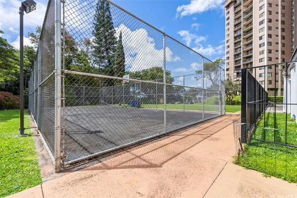 a view of a backyard